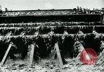 Image of relief work United States USA, 1936, second 11 stock footage video 65675032596