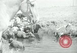 Image of relief work United States USA, 1936, second 52 stock footage video 65675032596
