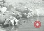 Image of relief work United States USA, 1936, second 55 stock footage video 65675032596