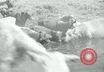 Image of relief work United States USA, 1936, second 56 stock footage video 65675032596