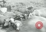 Image of relief work United States USA, 1936, second 57 stock footage video 65675032596