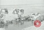 Image of relief work United States USA, 1936, second 61 stock footage video 65675032596
