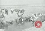 Image of relief work United States USA, 1936, second 62 stock footage video 65675032596