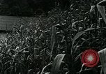 Standbild Appalachian Mountain Menschen Daisy Kentucky USA, 1962, aus Sekunde 4 historischem Filmmaterial Videoclip 65675032603