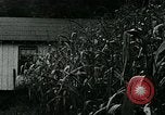 Standbild Appalachian Mountain Menschen Daisy Kentucky USA, 1962, aus Sekunde 6 historischem Filmmaterial Videoclip 65675032603