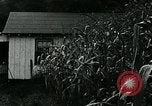 Standbild Appalachian Mountain Menschen Daisy Kentucky USA, 1962, aus Sekunde 7 historischem Filmmaterial Videoclip 65675032603