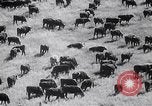 Standbild Die Staubschale United States USA, 1936, aus Sekunde 60 historischem Filmmaterial Videoclip 65675032604