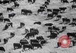 Standbild Die Staubschale United States USA, 1936, aus Sekunde 61 historischem Filmmaterial Videoclip 65675032604