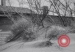 Image Dust Bowl Dalhart Texas USA, 1960, de la seconde 49 séquences d'archives historiques vidéo 65675032606