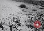 Image Dust Bowl Dalhart Texas USA, 1960, de la seconde 62 séquences d'archives historiques vidéo 65675032606
