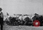 Immagine di Vaschetta della polvere Texas USA, 1936, secondo 18 filmato di repertorio 65675032607
