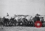 Immagine di Vaschetta della polvere Texas USA, 1936, secondo 19 filmato di repertorio 65675032607