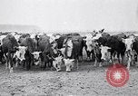 Immagine di Vaschetta della polvere Texas USA, 1936, secondo 20 filmato di repertorio 65675032607