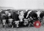 Immagine di Vaschetta della polvere Texas USA, 1936, secondo 23 filmato di repertorio 65675032607