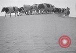 Immagine di Vaschetta della polvere Texas USA, 1936, secondo 30 filmato di repertorio 65675032607