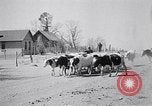 Immagine di Vaschetta della polvere Texas USA, 1936, secondo 34 filmato di repertorio 65675032607