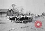Immagine di Vaschetta della polvere Texas USA, 1936, secondo 35 filmato di repertorio 65675032607