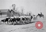 Immagine di Vaschetta della polvere Texas USA, 1936, secondo 36 filmato di repertorio 65675032607