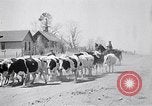 Immagine di Vaschetta della polvere Texas USA, 1936, secondo 37 filmato di repertorio 65675032607