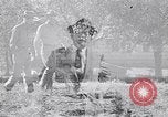 Standbild amerikanische Landwirte Dalhart Texas USA, 1960, aus Sekunde 26 historischem Filmmaterial Videoclip 65675032610