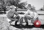Standbild amerikanische Landwirte Dalhart Texas USA, 1960, aus Sekunde 31 historischem Filmmaterial Videoclip 65675032610