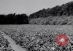 Standbild amerikanische Landwirte Dalhart Texas USA, 1960, aus Sekunde 34 historischem Filmmaterial Videoclip 65675032610