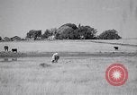 Standbild amerikanische Landwirte Dalhart Texas USA, 1960, aus Sekunde 62 historischem Filmmaterial Videoclip 65675032610
