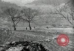 Image of 24th Infantry Division Korea, 1951, second 54 stock footage video 65675032628