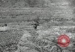 Image of 24th Infantry Division Korea, 1951, second 61 stock footage video 65675032628