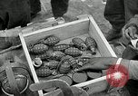 Standbild Us-Panzer und Infanterie im koreanischen Krieg 3 Korea, 1951, aus Sekunde 34 historischem Filmmaterial Videoclip 65675032631