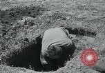 Immagine di Capitol Building Seoul COREA, 1951, secondo 55 filmato di repertorio 65675032644
