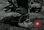 Standbild 155 mm Howitzer Seoul Korea, 1951, aus Sekunde 4 historischem Filmmaterial Videoclip 65675032645