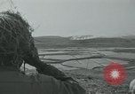 Standbild Koreakrieg Seoul Korea, 1951, aus Sekunde 19 historischem Filmmaterial Videoclip 65675032647