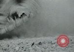 Standbild Koreakrieg Seoul Korea, 1951, aus Sekunde 57 historischem Filmmaterial Videoclip 65675032647