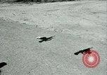 Standbild AR-15 Gewehr Florida USA, 1963, aus Sekunde 6 historischem Filmmaterial Videoclip 65675032651