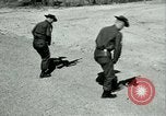Standbild AR-15 Gewehr Florida USA, 1963, aus Sekunde 9 historischem Filmmaterial Videoclip 65675032651