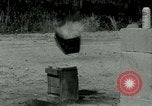 Standbild AR-15 Gewehr Florida USA, 1963, aus Sekunde 28 historischem Filmmaterial Videoclip 65675032651