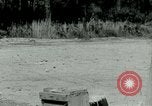 Standbild AR-15 Gewehr Florida USA, 1963, aus Sekunde 45 historischem Filmmaterial Videoclip 65675032651