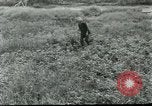 Standbild Umfang instrument Modell BC200 Vietnam, 1962, aus Sekunde 7 historischem Filmmaterial Videoclip 65675032659