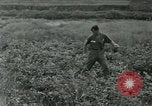 Standbild Umfang Instrument Vietnam, 1962, aus Sekunde 28 historischem Filmmaterial Videoclip 65675032663
