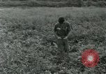 Standbild Umfang Instrument Vietnam, 1962, aus Sekunde 31 historischem Filmmaterial Videoclip 65675032663