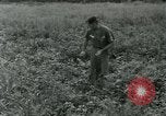 Standbild Umfang Instrument Vietnam, 1962, aus Sekunde 33 historischem Filmmaterial Videoclip 65675032663