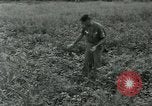Standbild Umfang Instrument Vietnam, 1962, aus Sekunde 34 historischem Filmmaterial Videoclip 65675032663