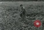 Standbild Umfang Instrument Vietnam, 1962, aus Sekunde 36 historischem Filmmaterial Videoclip 65675032663