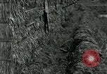 Standbild thatch Hütte Vietnam, 1962, aus Sekunde 15 historischem Filmmaterial Videoclip 65675032664