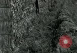 Standbild thatch Hütte Vietnam, 1962, aus Sekunde 18 historischem Filmmaterial Videoclip 65675032664