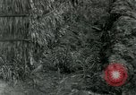 Standbild thatch Hütte Vietnam, 1962, aus Sekunde 22 historischem Filmmaterial Videoclip 65675032664