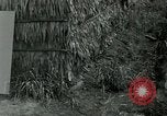 Standbild thatch Hütte Vietnam, 1962, aus Sekunde 24 historischem Filmmaterial Videoclip 65675032664