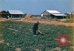 Standbild Vietcong Vietnam, 1970, aus Sekunde 5 historischem Filmmaterial Videoclip 65675032667