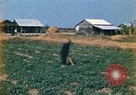 Standbild Vietcong Vietnam, 1970, aus Sekunde 6 historischem Filmmaterial Videoclip 65675032667